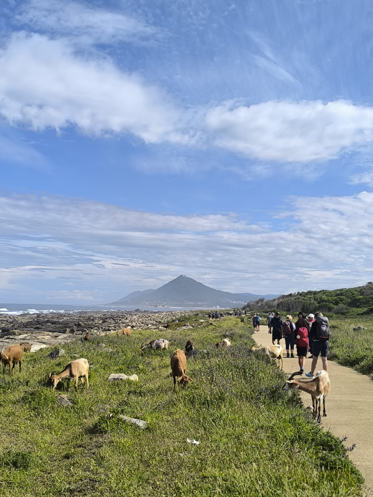 Camino Portugués costa
